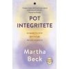 Pot integritete