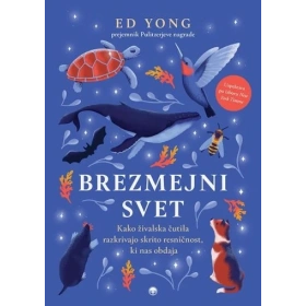 brezmejni_svet