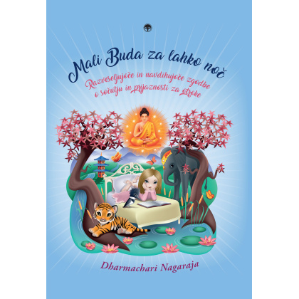 mali buda za lahko noc