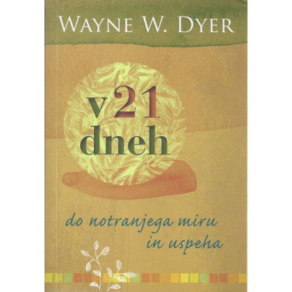 v-21-dneh
