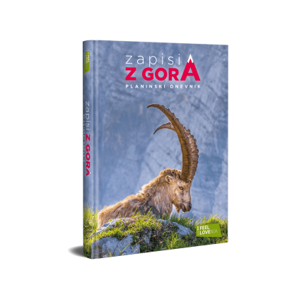 zapisi-z-gora 2